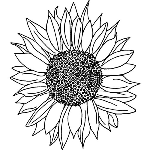Sunflower unmounted rubber - 'sunflower',
