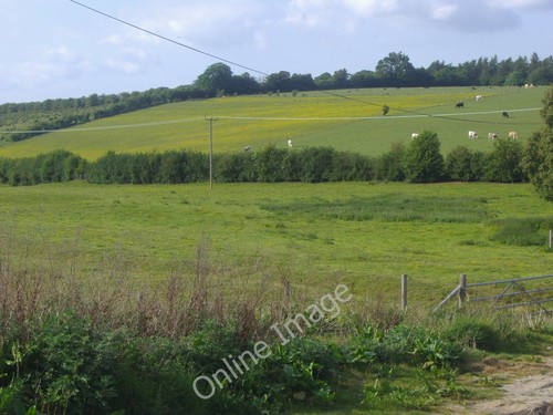 Photo 6x4 fields - fields, by