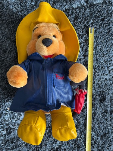Winnie the pooh medium - the,
