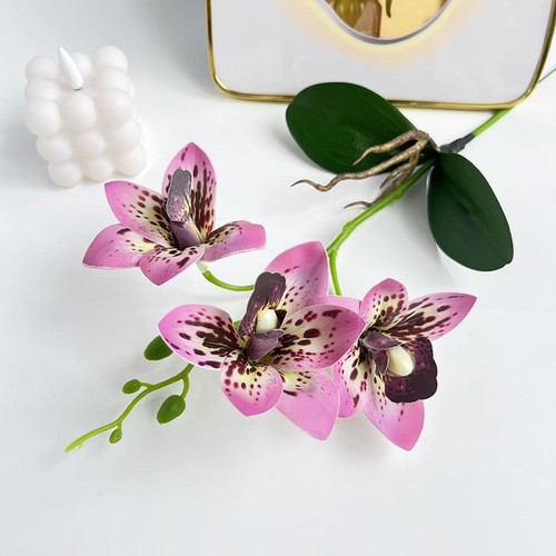 Cymbidium orchid replica for - replica,