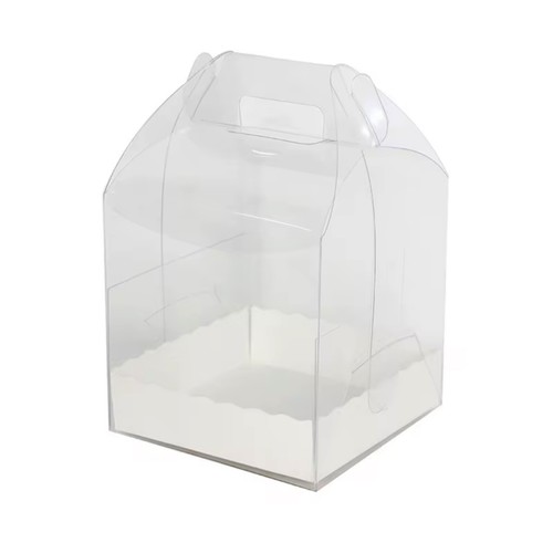 Pack 5 inch transparent - 5,