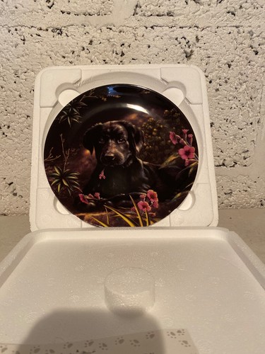 Wedgewood black labrador - black, plate