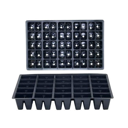 Cell bedding plant pack - 50,