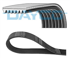 Genuine dayco ribs 1569mm - 7,