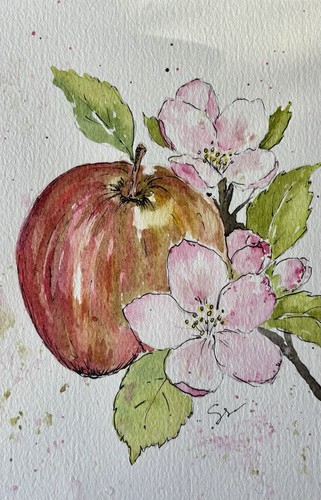 Apples and blossom original - blossom:,