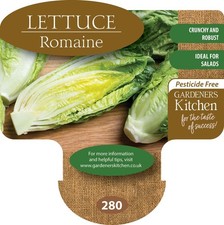 Lettuce Plants - 'Romaine' 6 x