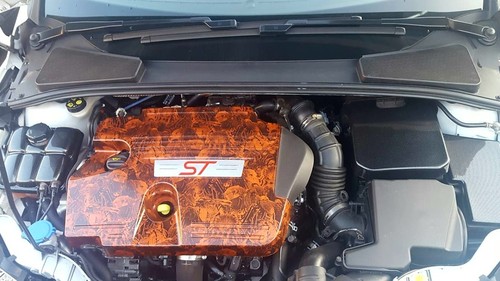 Engine bay coolant - engine,
