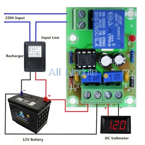 M601 12v smart charger - 12v,