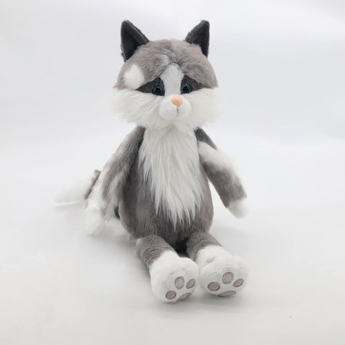 Ragdoll cat - ragdoll,