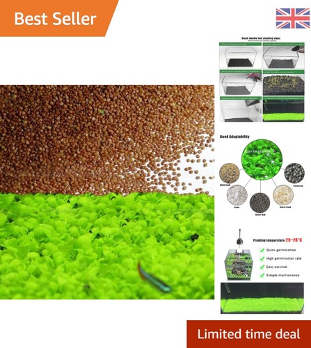 Small double leaves aquatic - small,