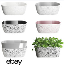 Decorby Plastic Trough Box Planter for Herbs Succulents Indoor Outdoor Use