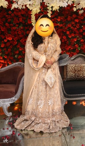 Pakistani indian wedding dress - wedding,