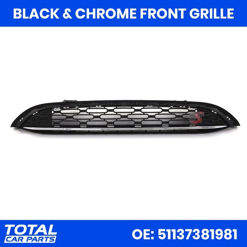 Black chrome radiator bumper - radiator,