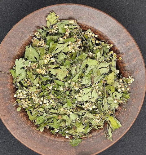 Dried crataegus monogyna - dried,