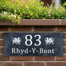 Welsh Dragon Engraved House