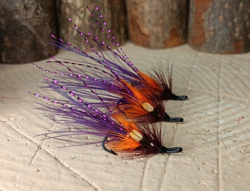 Faughan shrimp salmon - shrimp,