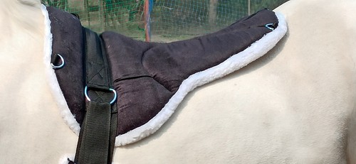 New exclusive bareback pad - bareback,