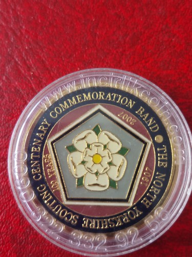 Large scouts centenary - scouts,