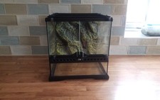 exo terra 30x30x30 with back ground ( lid will need replacement )