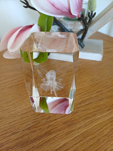 Laser etched fairy pixie - 3d,