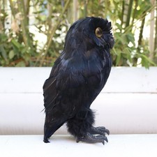 Artificial Owl Bird Taxidermy