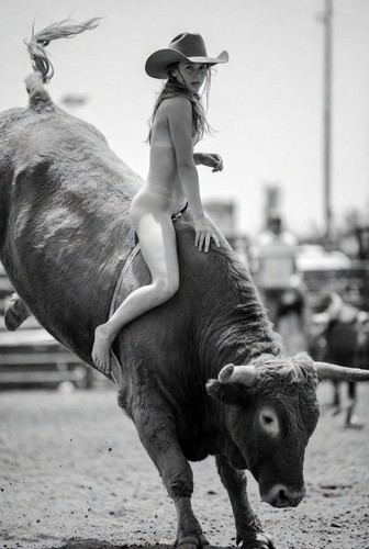 Rodeo cowgirl pin art - pin-up,