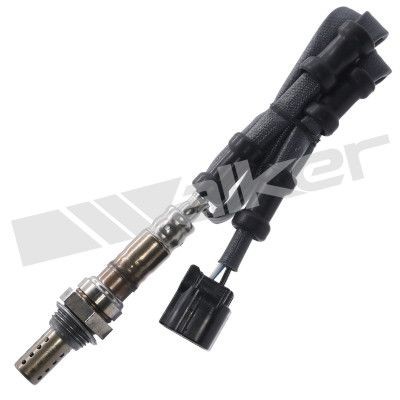 Walker 350 34168 - oxygen, sensor