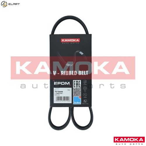 Vribbed belt 7016022 for - belt,