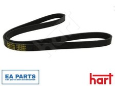 V-Ribbed Belt for ABARTH ALFA