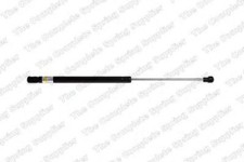 REAR BOOT / CARGO GAS SPRING