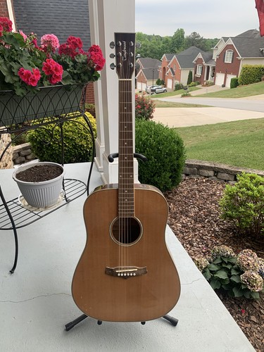 Tanglewood evolution - tanglewood,