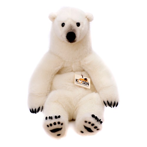Polar bear kosen - polar,