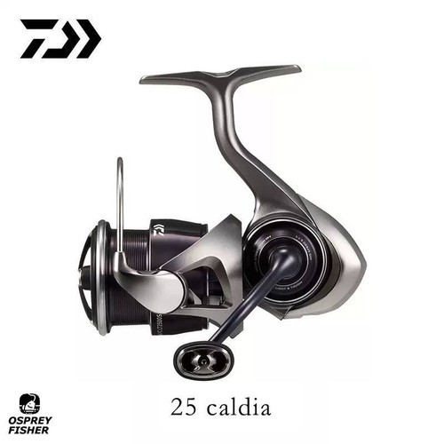 Daiwa caldia spinning - daiwa, 25