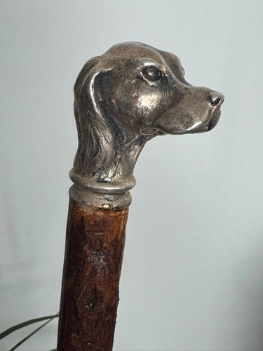Hazel wooden walking stick - hazel,