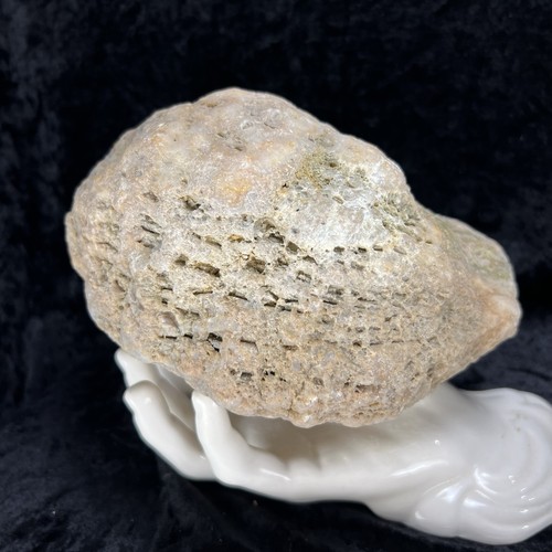 Large unopened geode - large,