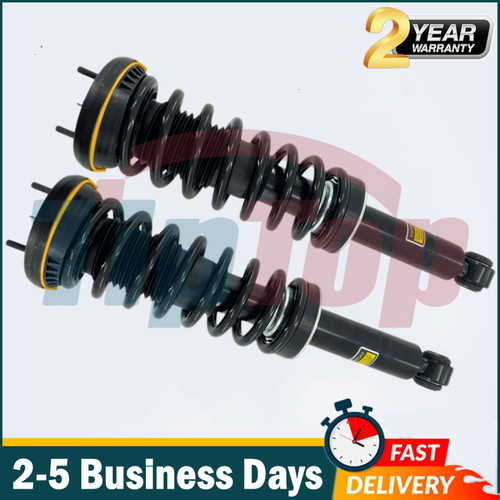 Pair rear shock - struts, assys
