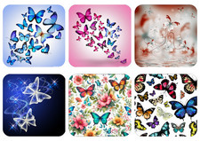 Butterfly Butterflies Set 2
