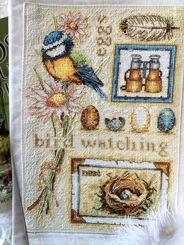 Anchor bird watching - anchor, blue