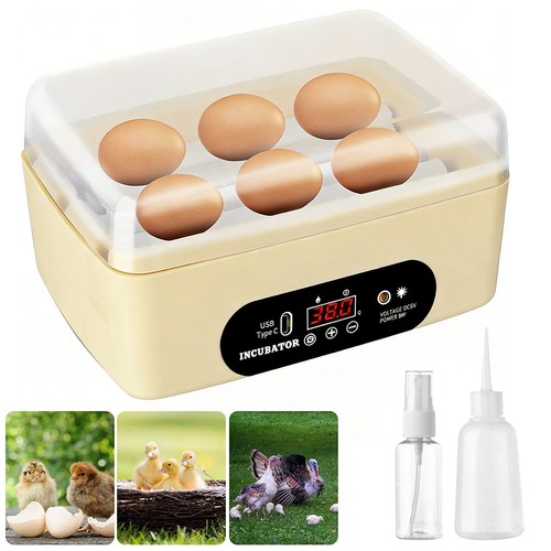 Mini egg incubator - egg,