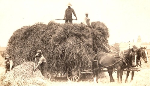 Hay wagon farm workers - &,