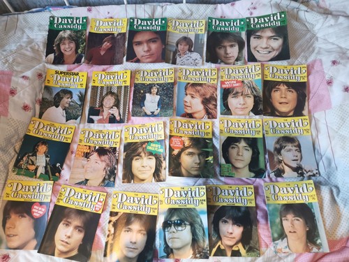 David cassidy fan club - 22,