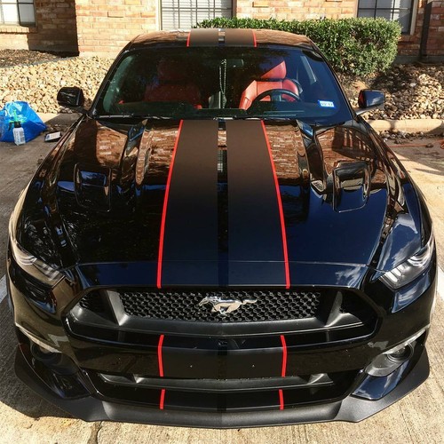 Ford mustang shelby racing - ford, mustang-shelby