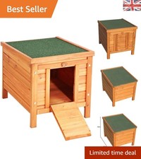 Spacious Rabbit & Guinea Pig