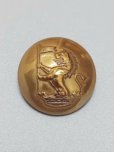 Antique livery button 27mm - livery,