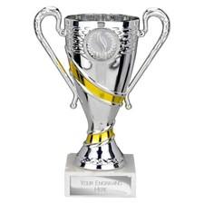 PRESENTATION CUP SPORTS TROPHY