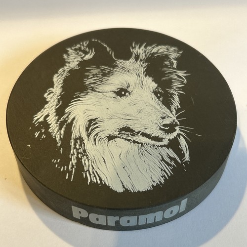 Welsh slate coaster collie dog - welsh,