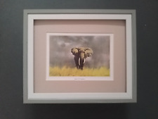 David Shepherd print 'Wise Old