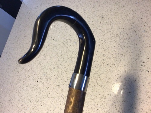 Shepards crook hiking stick - shepards,