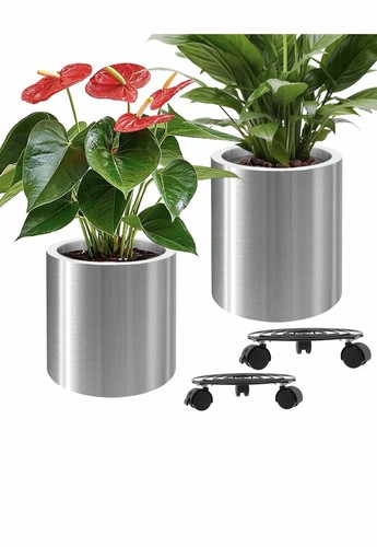 Pack stainless steel - 2-pack,