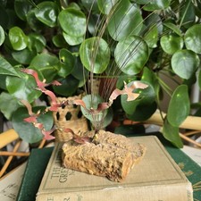Bijan Bahat Kinetic Sculpture Birds in Flight Seagulls Copper Brass On Onyx Base